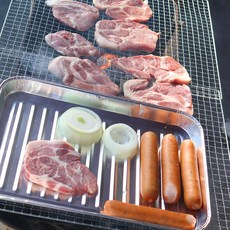 일회용 숯불구이판(5p)캠핑 바베큐 그릴 불판 석쇠, 5p