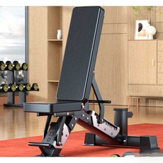 낙원굿즈 로망체어 강화 벤치 홈트 코어 홈짐 복근, 상세페이지 참고, AC-502 벤치