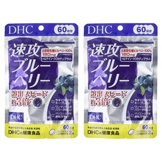 DHC 속공 블루베리 소프트캡슐, 2개, 120정