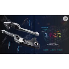 JS 生命之花 二代 升級 拉桿 適用新勁戰 四 五代戰 FORCE, 鐵灰色,單購 拉桿螺絲, 1個