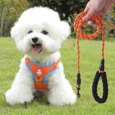 狗狗胸背帶牽繩組，反光設計，附牽繩，小型犬、大型犬適用, 1個, 藍【單胸背】,XXS【建議4-7斤】