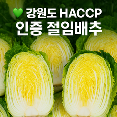 [온곳간] 강원도 절임배추 / HACCP 인증 / 김장용 / 절임 익일출고 / 세척불필요 / 김치용 배추, 출고일에 맞춰 주문해주세요, 1박스, 1kg