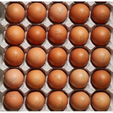 계란명가 부활절계란 황란 띠포장 HACCP인증 대란, 1판(30구), 황란(일반 황색란), 띠포장 안함(X)