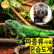 쎄네핏 파충류온습도계 도마뱀온습도계 파충류온도계 도마뱀온도계, 1개