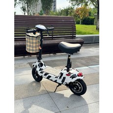 가성비 앉아서타는 전동킥보드 좌식 배달용 이륜 퀵보드 24V 브러시리스 티안넝 다색 50-60마일 24V, 36V 자동차 20A 리튬 다색