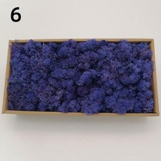 DIY 인공 녹색 식물 영원한 집 거실 정원 미니어처 가짜 잔디 200g, 6)10g, 6
