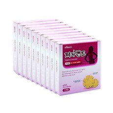 에버레이드 찌찌밴드 여성용 유두 가리개 니플밴드 12개입 10개