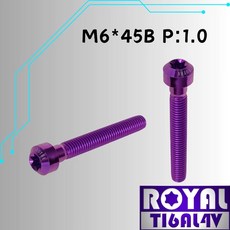 ROYAL TIGALAV 鈦合金螺絲 M6*45B P:1.0 錐形螺絲 皇家紫, 1個