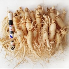 [GAP 인증 인삼] 농부가 직접 드리는 6년근-5년근 못난이 인삼(난발삼) 무료세척 예쁜 정품수삼 파삼 홍삼액달임오쿠 인삼튀김 삼계탕 인삼라떼(믹서) 인삼주, 750g, 1개, 세척안함, 2.콩난발(750g, 28뿌리내외)