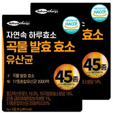 자연속 하루 효소 곡물 발효 효소 유산균 45종, 90g, 2개