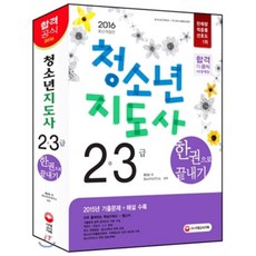 2016 청소년지도사 2ㆍ3급 한권으로 끝내기 : 2015년 기출문제＋해설수록 / 출제기준 반영 / 2차 면접정보 수록, 시대고시기획 시대교육