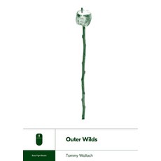 (영문도서)Outer Wilds Paperback, Boss Fight Books, English, 9781940535371