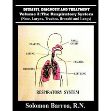 (영문도서) Diseases Diagnosis and Treatment Paperback, Createspace Independent Pub..., English, 9781484994597