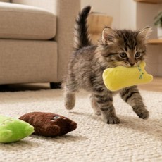MDD 고양이 치발기 아기고양이 고양이장난감, 옐로우