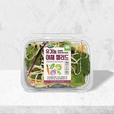 초록한입 유기농 야채샐러드 (건강즙1포증정), 2개, 100g