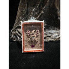 蝶王 古巴吉士納 蝴蝶天童 嘎烏 鹿角殼 泰國佛牌 招財 轉運 吊飾