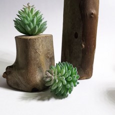 hongji 仿真多肉植物 樹樁擺件, P79仿真多肉+木頭底座(隨機), 1套