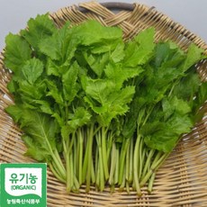 최고급 왕실진상품 국산 유기농 어수리나물, 1박스, 1kg