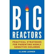 (英文圖書)Big Reactors: Practical Strategies for Parenting a Highly Sensitive Child 精裝版, Bloomsbury Academic, 英文