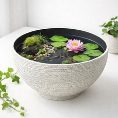 앙플러스 가벼운 대형 연꽃 수반 수경 화분 어항, 스톤화이트