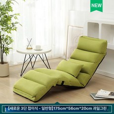 C1 리클라이너 좌식 소파 폴딩형 1인용 소파베드 팔걸이 거실 휴식용, 1. 일반 과일