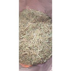 알티육성 TMR 티엠알, 1개, 20kg