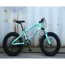 광폭타이어 팻자전거 바퀴큰 경량 타이어 펫자전거, 20inch, 7단, 레이크블루 20인치