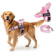 FAYOGOO 소형에서 대형견을 위한 보조견 조끼 조절 가능한 가슴 스트랩이 있는 경량 안내견 하네스 걷기 훈련을 당김 없는 초크 탈출 방지 강아지 하네스, 핑크