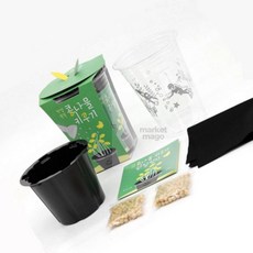 마켓다인A 콩나물키우기 콩나물재배키트