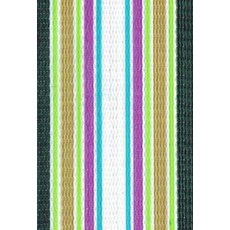 Lawn Chair USA 마크라메 의자 프레임용 웨빙 클립 30팩, 스프링 플라이, 2 1/4" x 50'