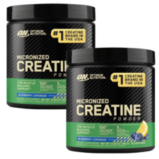 Optimum Nutrition 미립자 크레아틴 모노하이드레이트 블루베리 레모네이드 크레아틴 60회분 360g 2개