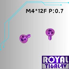 ROYAL 鈦合金螺絲 M4*12F 飛碟頭螺絲, 1個