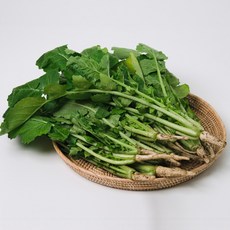 아삭아삭 열무 시원한 제철 김치용 열무, 2kg, 1박스