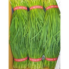 국내산 손질 부추 500g 정구지, 1개