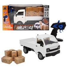 비앤씨-1:16 FAST DELIVERY 배달트럭 RC, 혼합색상, 1개