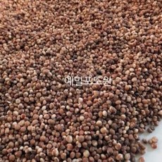 국산 무농약 찰수수쌀(강원도 영월산) 1kg 2025년산, 1개