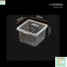 本町萌寵 台灣出貨 爬蟲飼養盒蠶寶寶爬寵飼養箱蜘蛛守宮蜥蜴蜈蚣甲蟲角蛙兩棲烏龜缸 E8wU, 中號方盒50個裝, 1個