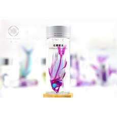 魚心標本藝術 透明生物標本 - 短鑽嘴魚 Gerres erythrourus【網路限定】, 1個