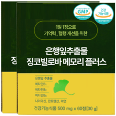 식약청인증 징코 은행잎추출물 혈행 플러스 기억력 개선에 도움 줄 수 있음, 2개, 60정