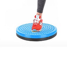 오늘출발샵 트위스트 디스크 원반 운동기 1개 운동용 세트 운동용품