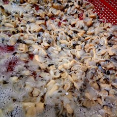 국산 바지락살 조개살 생물 해감, 1개, 5kg