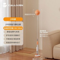 코브라백 권투 샌드백 입식 훈련 가정용 스피드볼 스탠딩 복싱, 5.PULS모델+방폭볼/높이조절