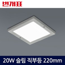 번개표 LED 엣지타입 사각 직부등 20W 220mm, 주광색, 1개