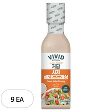 비비드키친 저당 시저 샐러드 드레싱, 230g, 9개