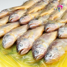 제주 참조기 1박스 48미 냉동 조기, 제주 참조기 48미