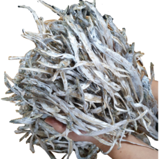 국내산 마른갈치 풀치 말린풀치 500g, 1개