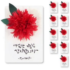 카네이션 카드 만들기 세트 화이트카드+레드 10세트