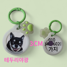 야광 강아지사진 인식표 펜던트 이름표 로고 네임택제작, 1개