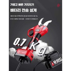 디테크 전동가위 원예 전정 철판가위 충전 가지치기 풀세트, 1개, 6cm 2.0A 배터리2개 키네틱