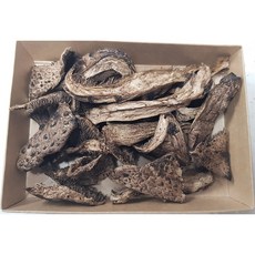 2025 강원도 강릉 건조 능이버섯 (건능이 말린능이), 1개, 60g (20g 3팩)